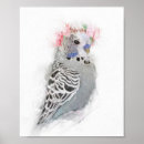 Search for budgies posters Pet