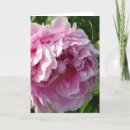 Search for garden photo cards Floral