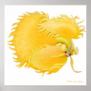 Search for betta fish art Bettas