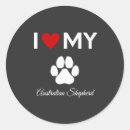 Search for australian shepherd puppy stickers Puppies