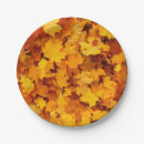 Search for summer paper plates Season