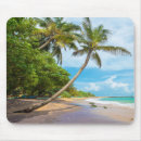 Search for coastline the electronics Tropical