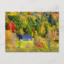 Search for fall foilage Blue
