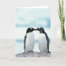 Search for beak cards Penguin