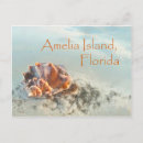 Search for florida seashells postcards Summer