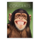 Search for chimpanzees photography Funny