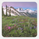 Search for cascades stickers Shuksan