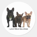 Search for love french bulldog stickers Pet