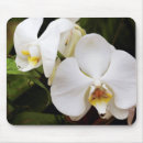 Search for fragile mousepads Close up