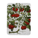 Search for steampunk kitchen dining Flowers