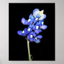 Search for blue background posters Purple