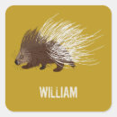 Search for north american wildlife stickers Wild animals