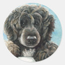 Search for portuguese water dog stickers Puppy
