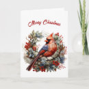 Search for red cardinal christmas cards Beautiful