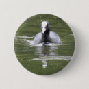 Search for black birds badges White