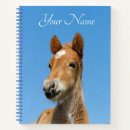 Search for foal notebooks cute