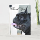 Search for french bulldog thank you cards Pet