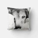 Search for cuddle cushions Simple