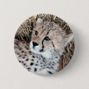 Search for cub badges Adorable
