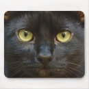 Search for kitty face mousepads Kitten