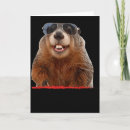 Search for disease photography Groundhog day photography