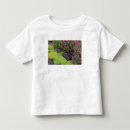 Search for moss green tshirts Stream