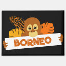 Search for orangutans magnets Indonesia