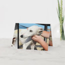 Search for greyhound birthday cards Animal