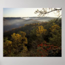 Search for forest land posters Environment