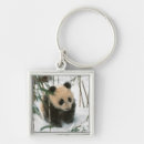 Search for panda bears key rings Cub