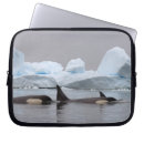 Search for i pod cases Whale