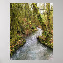 Search for corral posters Nature