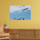 Search for seagull flying posters Blue