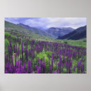Search for looping posters Cloud