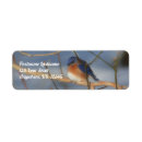 Search for bluebird return address labels Wildlife