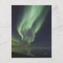 Search for anwr postcards Arctic