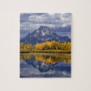 Search for mirror image puzzles Landscape