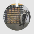Search for woodpecker christmas tree decorations Wildlife