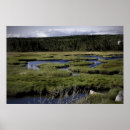 Search for photography canvas art Nature