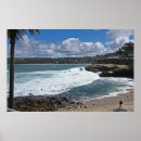 Search for la jolla posters Cove