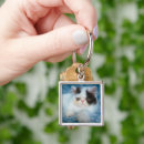 Search for fluffy kitten key rings Domestic animals