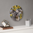 Search for koala clocks Tree