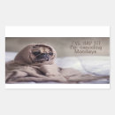 Search for funny monday stickers Cool