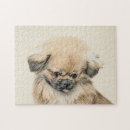 Search for pekingese puzzles Puppy