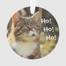 Search for fluffy christmas tree decorations Cat