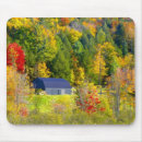 Search for along mousepads Fall