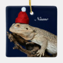 Search for santa dragon christmas tree decorations Reptile