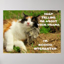Search for calico cat posters Kitty
