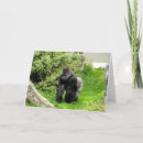 Search for silverback gorilla cards Primate