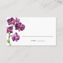 Search for phalaenopsis Purple orchid